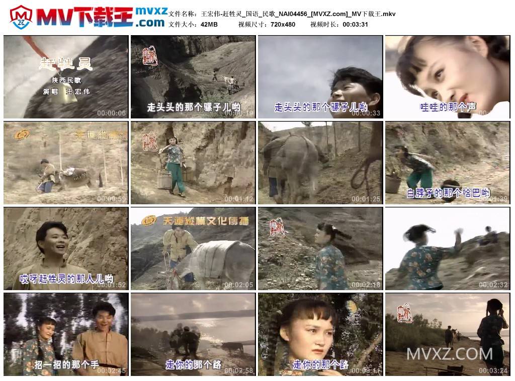 王宏伟-赶牲灵_国语_民歌_NAI04456